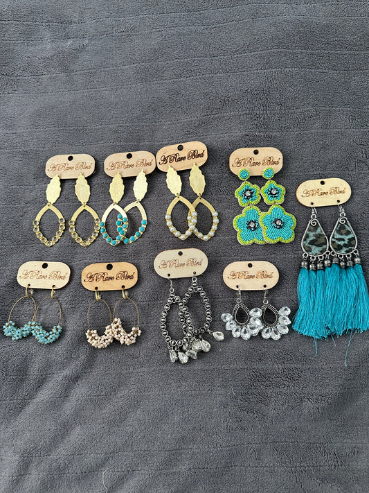 Show Special Earrings